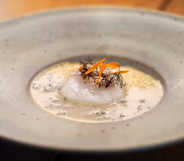 Baked Norwegian skrei with sago porridge and a sauce of truffle seaweed