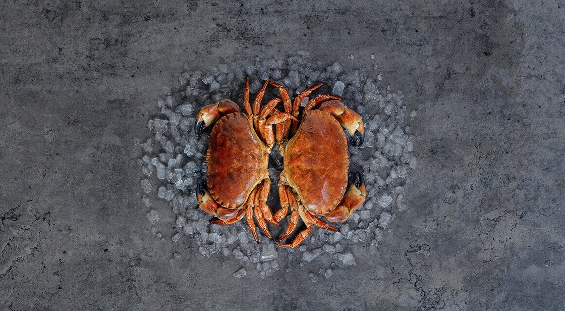 Brown crabs on ice