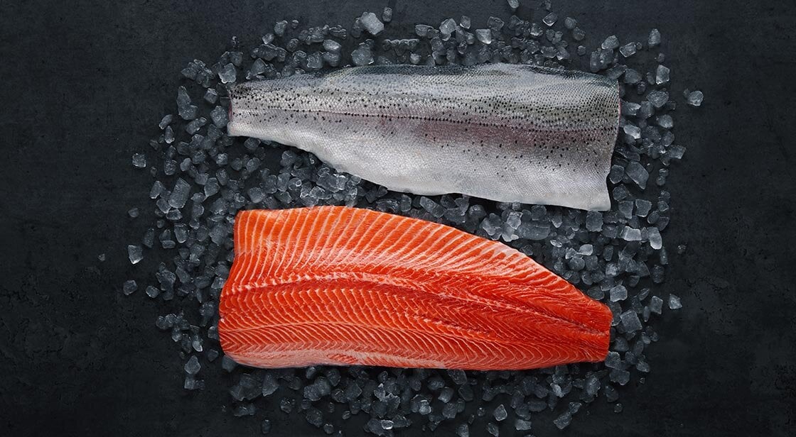 Norwegian fjord trout fillets