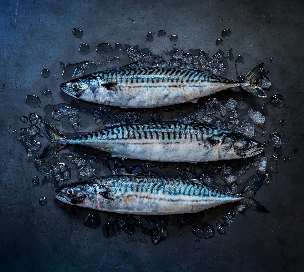 Norwegian mackerel ​, Seafood from Norway