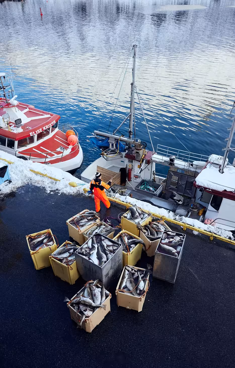 Fisherman offloading the catch on the docks