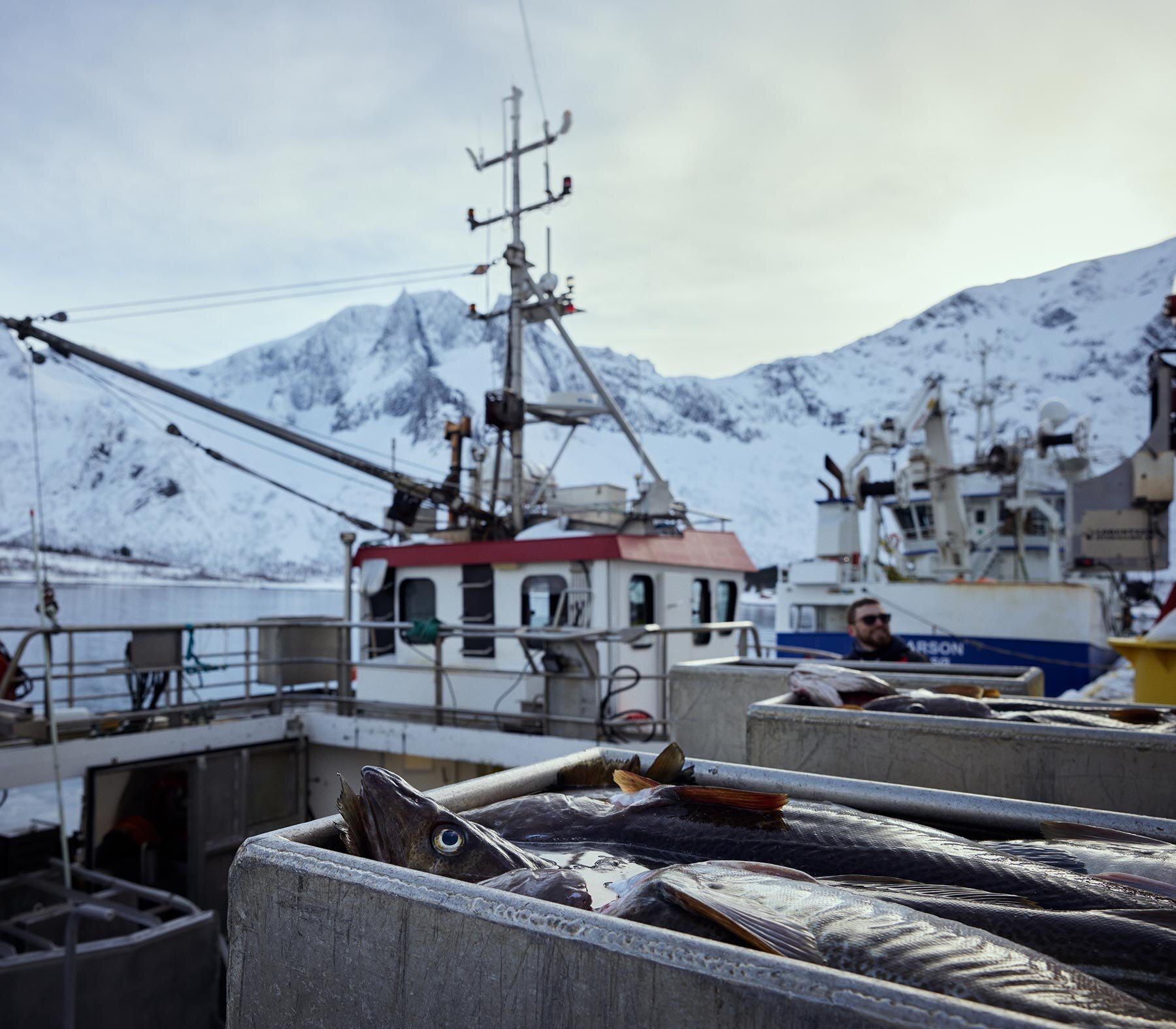 View from the docks on Senja with fishing boats