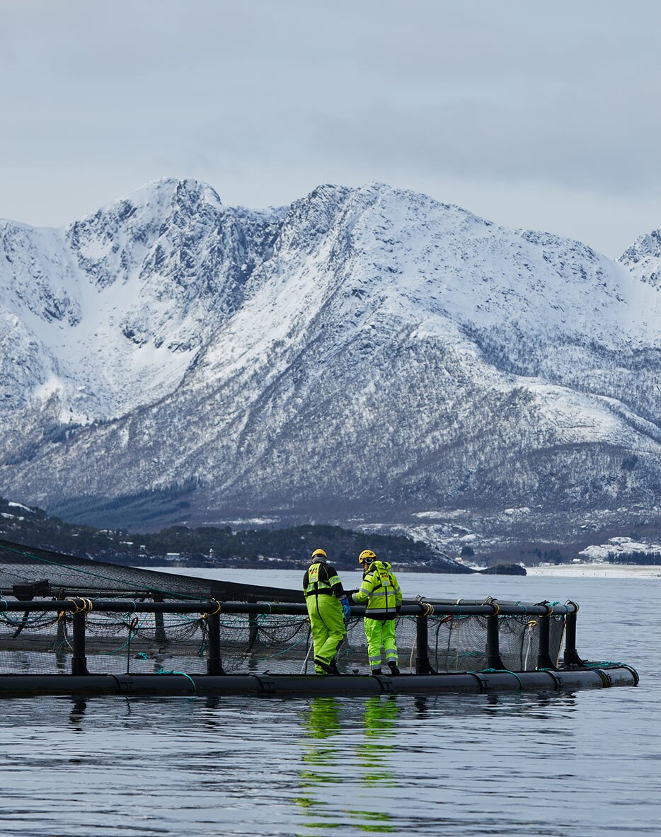 Workers on the edge of a sea pen